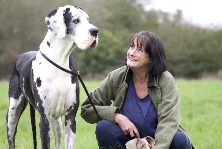 Woman takes lead with book to help dogs (and owners)