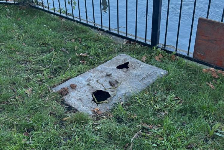 Mermaid sculpture and Christmas tree targeted by vandals