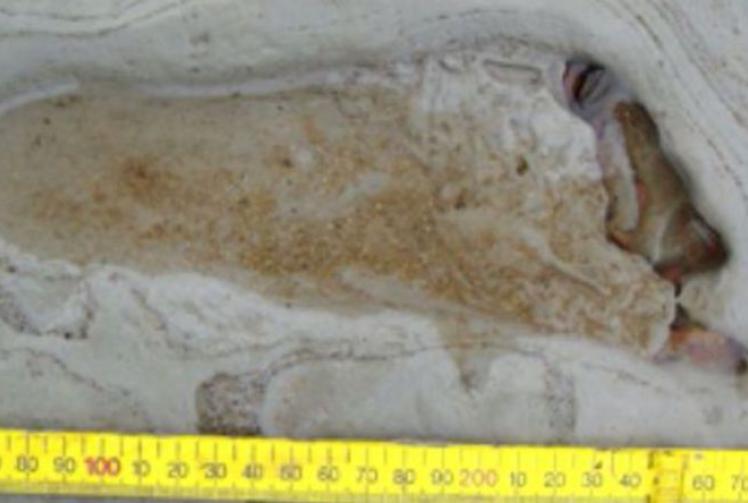 Henley Archaeological & Historical Group