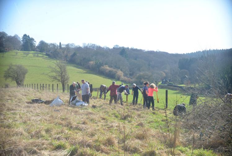 Goring wins another gold at Bloom awards contest