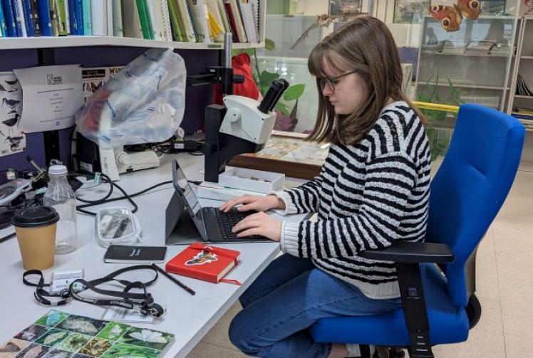 Budding scientist recognised for researching moth activity