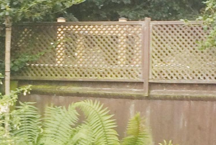 Pupils can see into my home from school's new play area