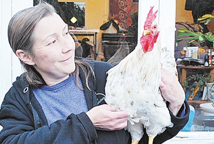 Six ways to feng-shui your home for the year of the rooster