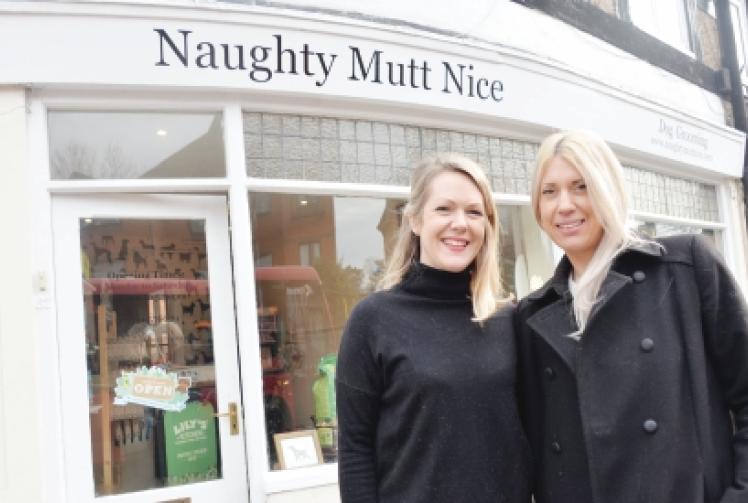 Brazilian takes the lead as new owner of dog boutique