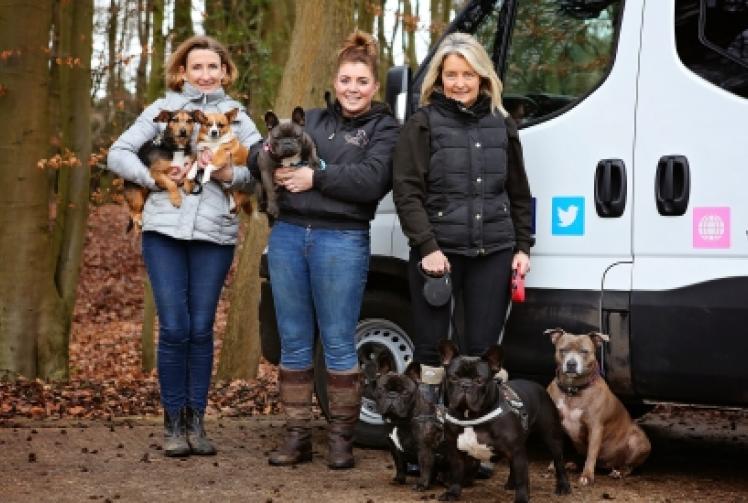 Whether it is walking your dog or pet travel, we're the real deal