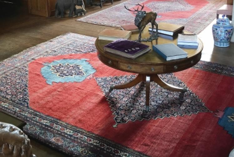 Experts in cleaning and restoring carpets