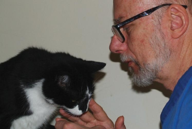 Mobile vet can come and help your pets