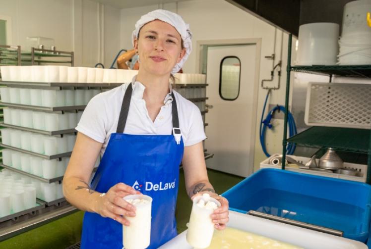 Blessed are the cheesemakers