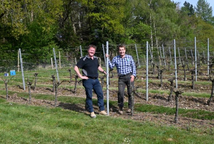 Wineries hope to attract tourists with walking tour