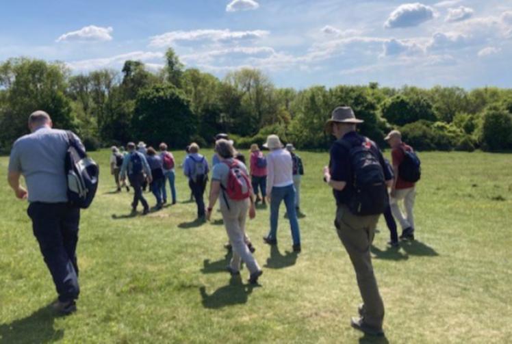 Feeling small, feeling bright, feeling grateful summed up Chilterns walk