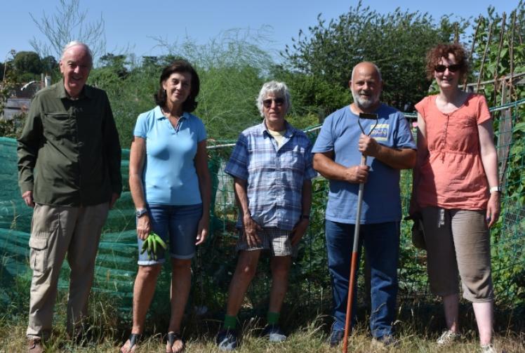 Allotment holders call for action after deer attacks
