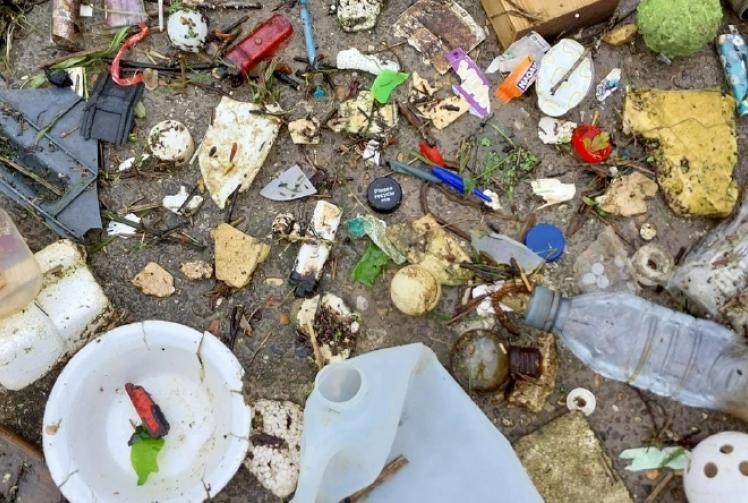 Frustrated by collapse of plastic talks