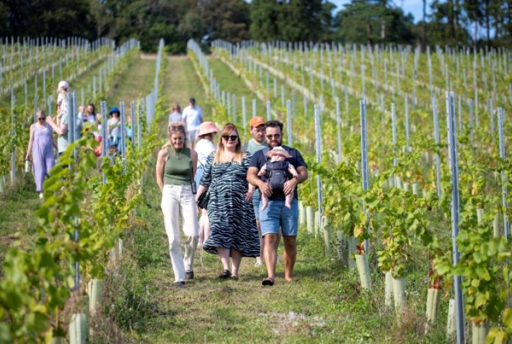 Stonor Valley Wine Farm 2708