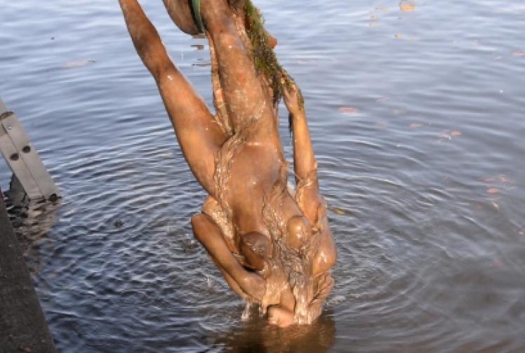 The lady reappears (briefly)