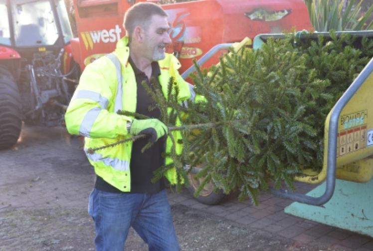 Tree chipping raises &pound;180 for Henley in Bloom
