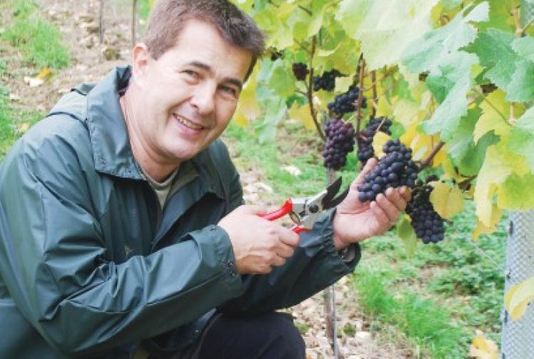 Rotary Club of Henley Bridge