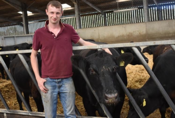 Student saves pedigree cattle from field blaze