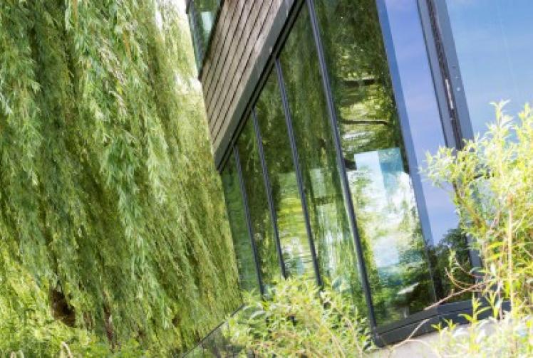 Thames Room enjoys stunning views