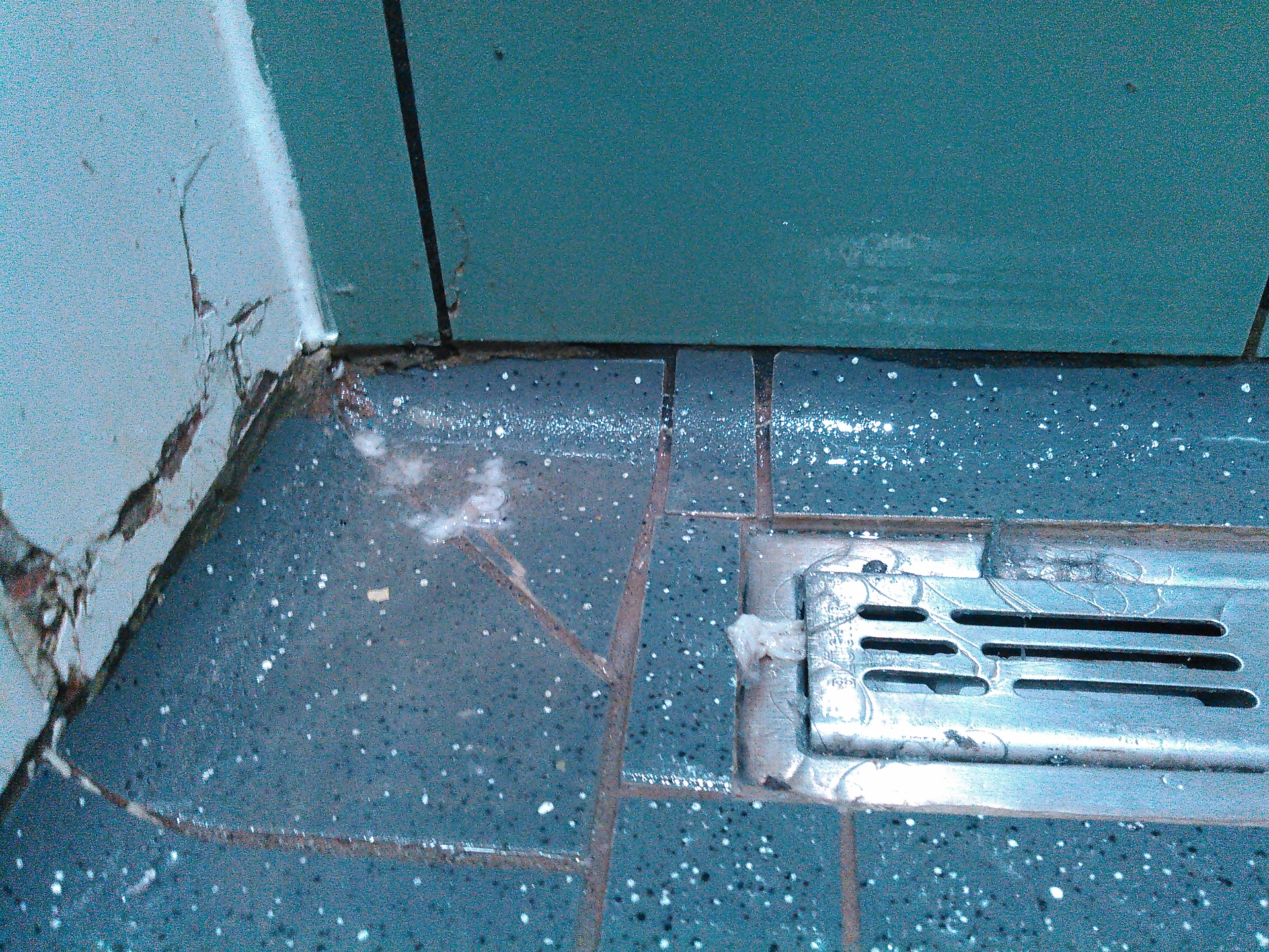 Hair blocking drains